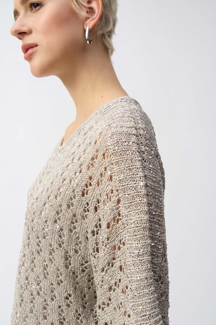 POINTELLE SWEATER SEQUINED PULLOVER