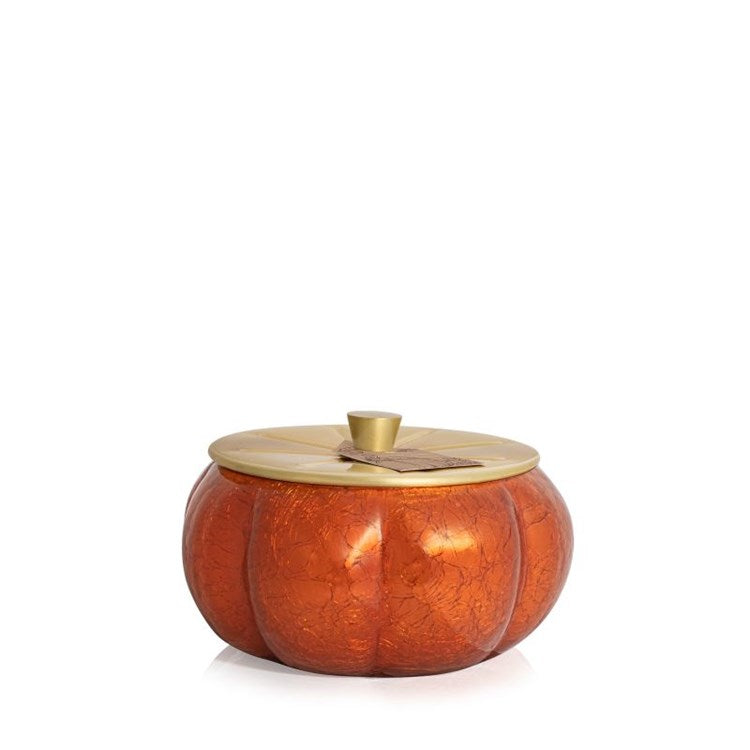 THYMES PUMPKIN LAUREL 15 OZ. LARGE CANDLE