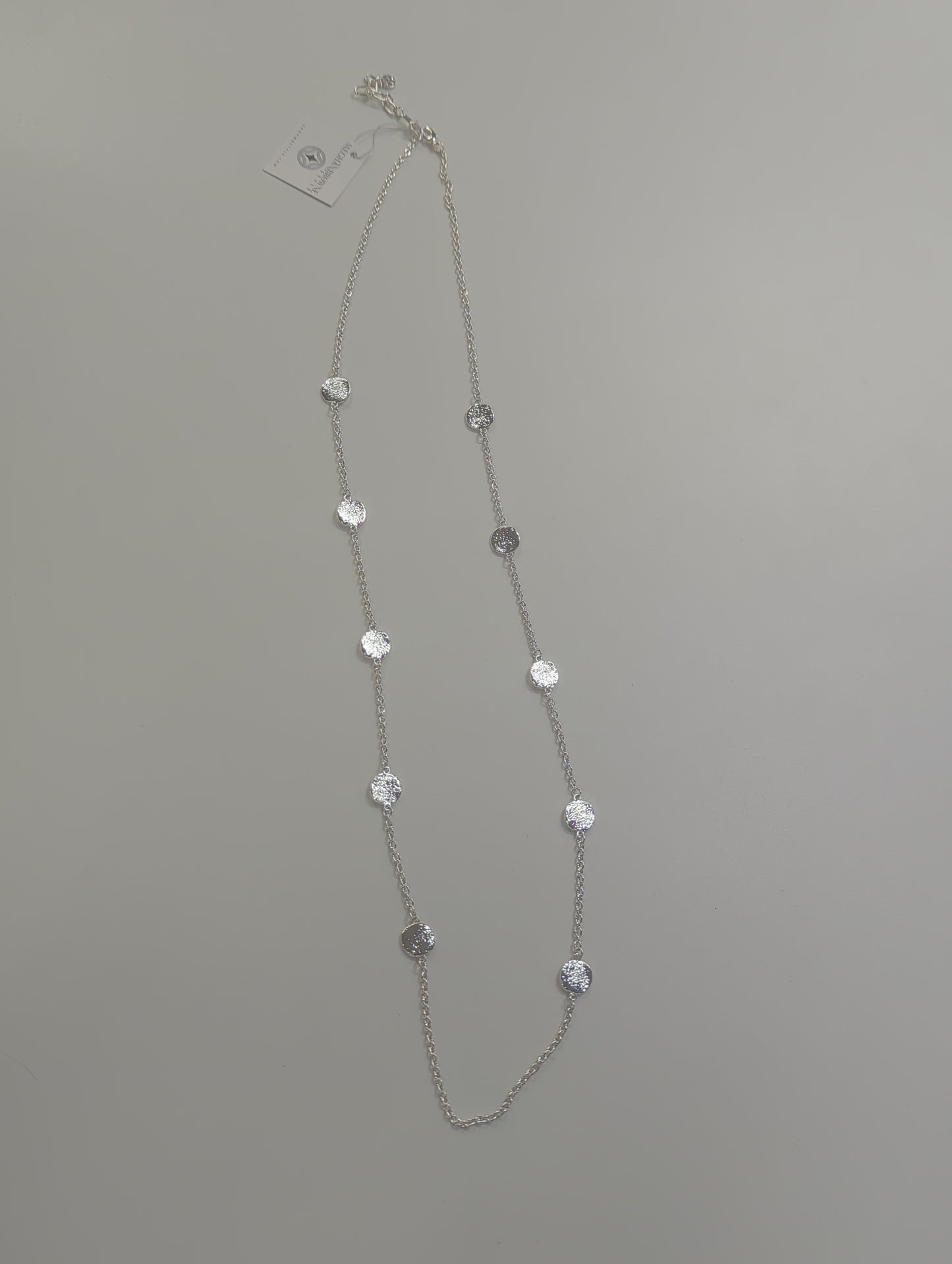 Meghan Browne Dilly Silver Necklace